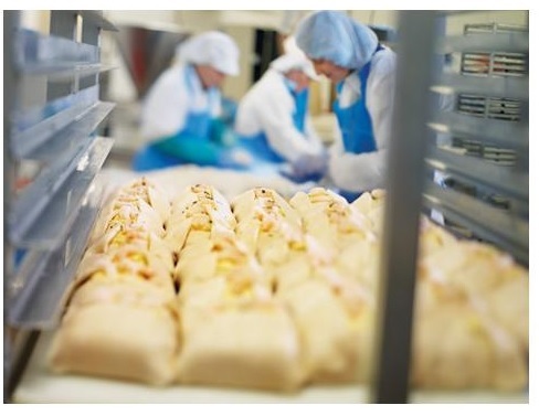 Clean food production facility staff